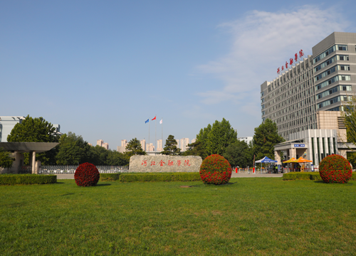 91论坛